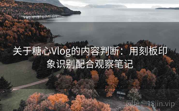 关于糖心Vlog的内容判断：用刻板印象识别配合观察笔记