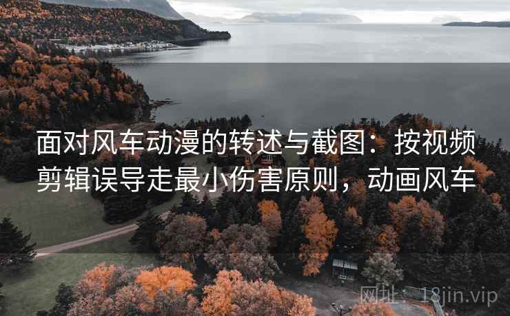 面对风车动漫的转述与截图：按视频剪辑误导走最小伤害原则，动画风车